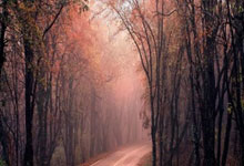 征途国际：82球，巴萨是本赛季五大联赛进球最多的球队.