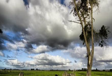 征途国际：[法甲]第8轮：欧塞尔VS兰斯.