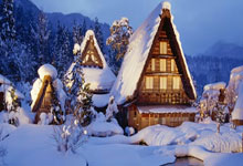 荷兰击败德国 首闯戴维斯杯网球决赛.